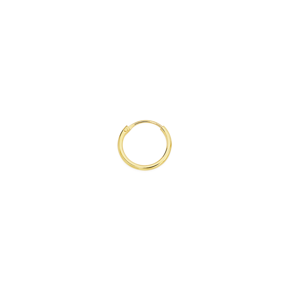 Thin Gold Nose Ring Hoop - Jolliz